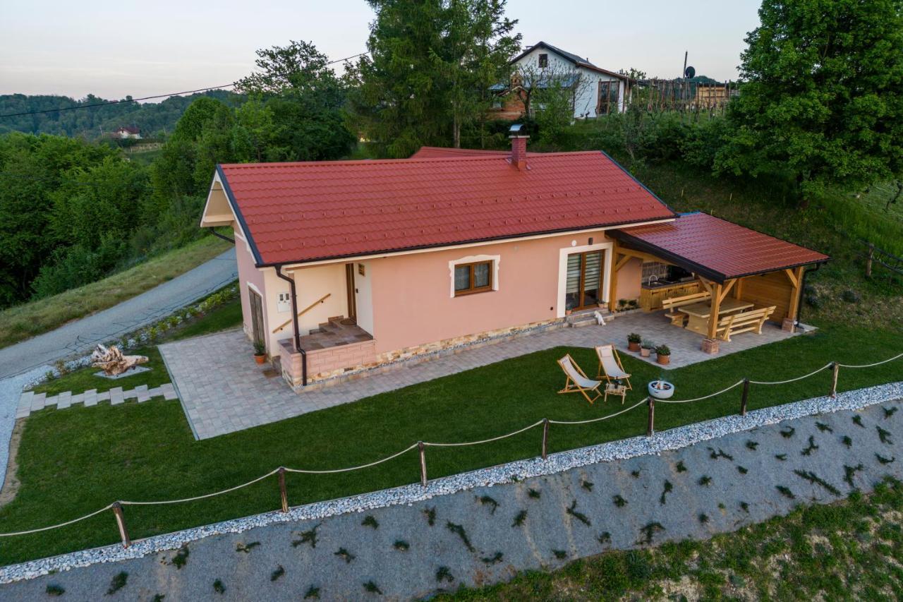 Hill Cottage Haloze Gruskovec Bagian luar foto
