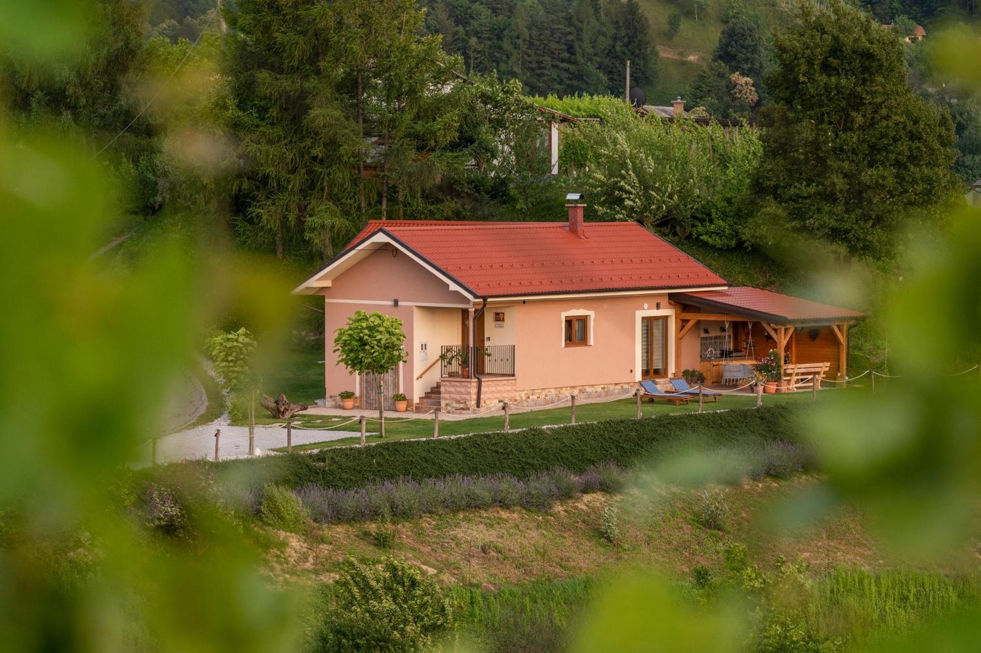 Hill Cottage Haloze Gruskovec Bagian luar foto